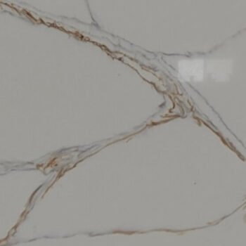 New Armani (1) New Armani (1)